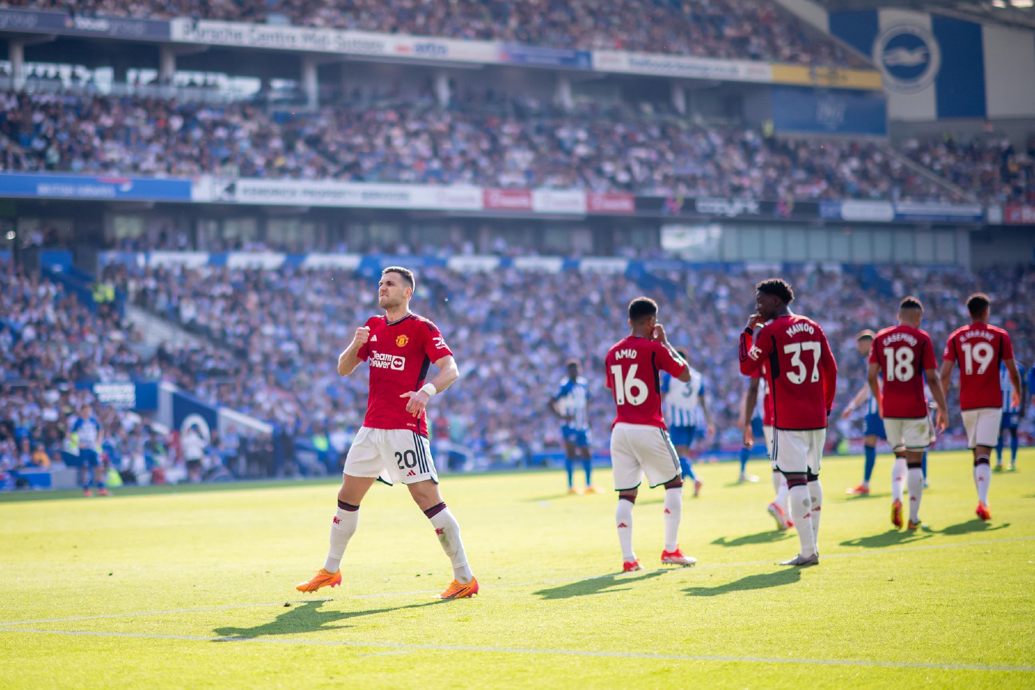 不仅增强了 不仅增强了